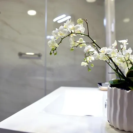 Visconde Szálloda Porto